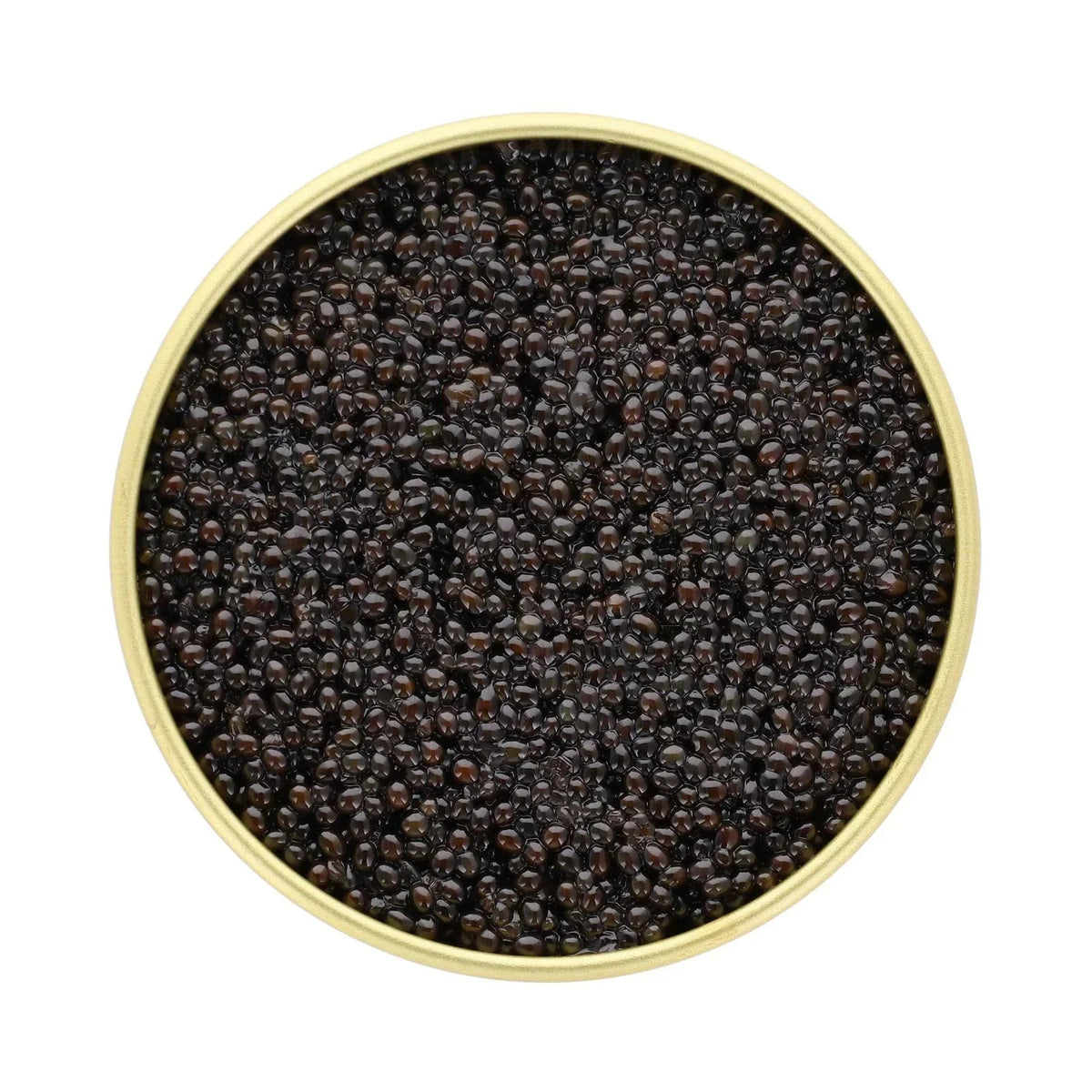 Top view of premium Bowfin Roe caviar in a gold-rimmed tin