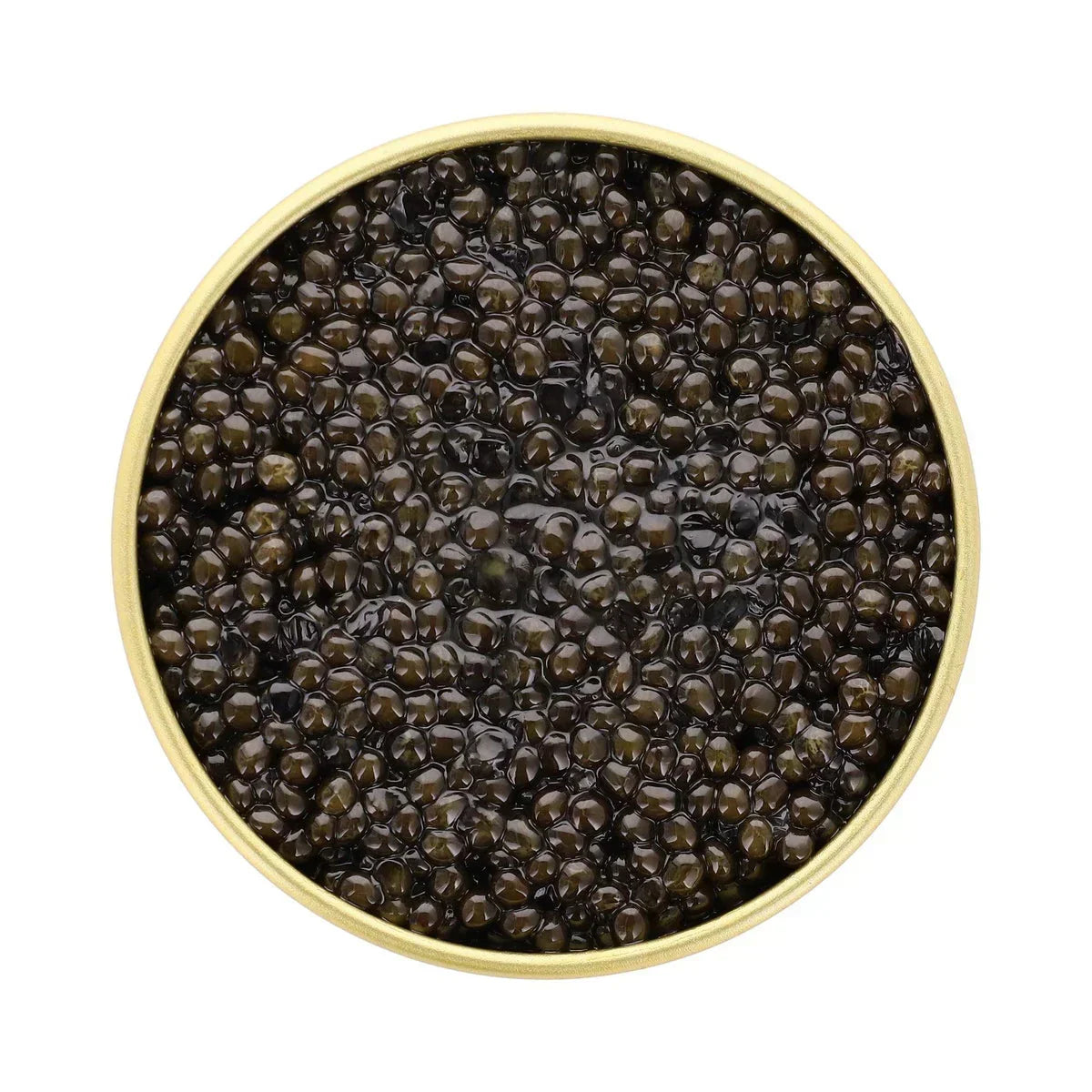 Premium black caviar in a gold tin, artisan-made and high-protein, perfect for gourmet dishes.