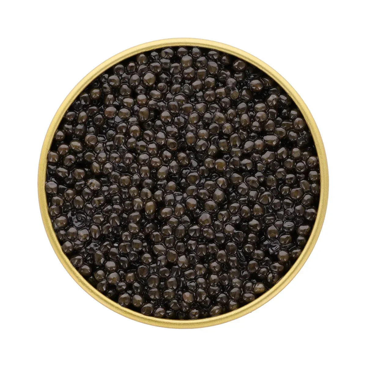 Premium black caviar in a gold tin, artisan-made and high-protein, perfect for gourmet dishes.