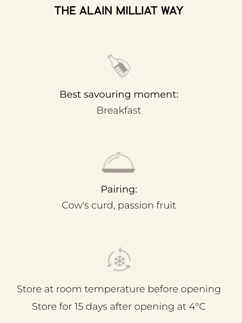 Apricot Bergeron Extra Jam by Alain Milliat, 10.6 oz (300g) | GMO-Free | Imported from France - The French Pantry