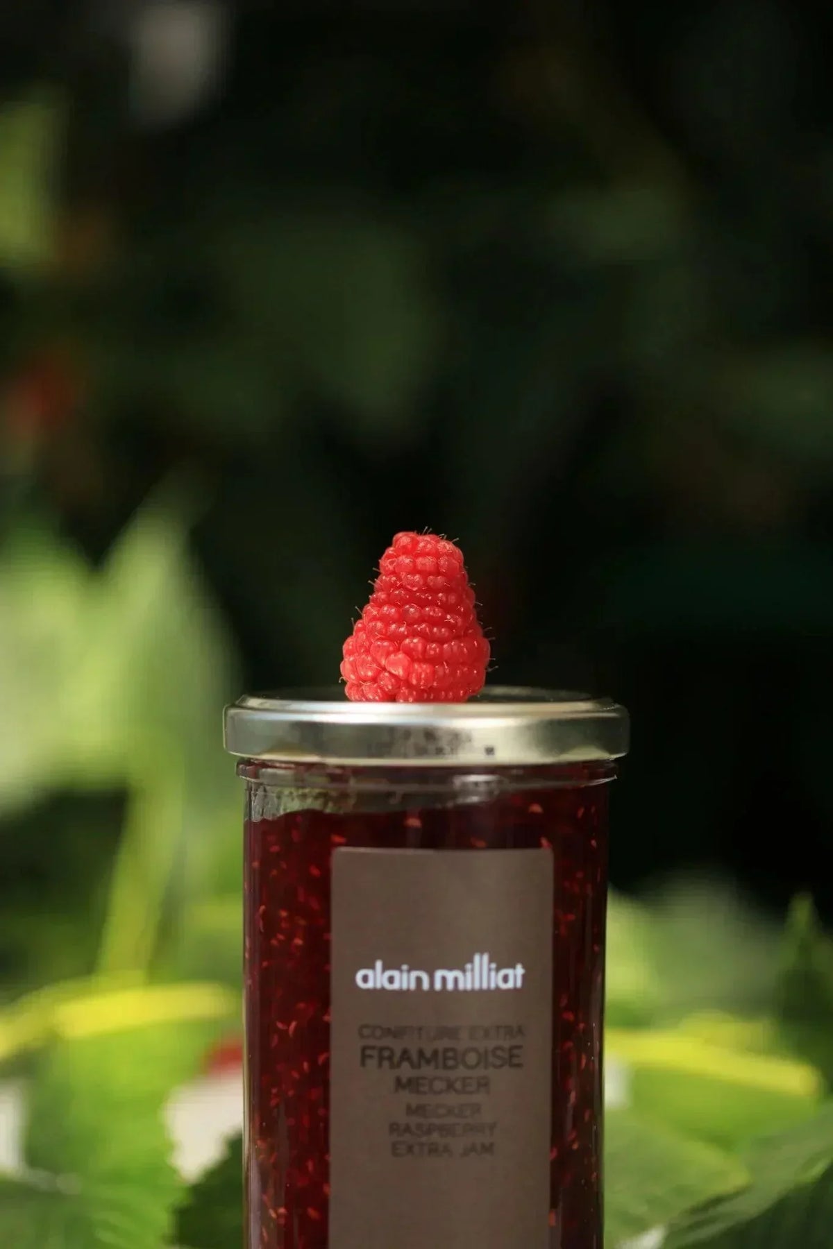 Alain Milliat raspberry extra jam jar with fresh berry on lid, artisan French preserve
