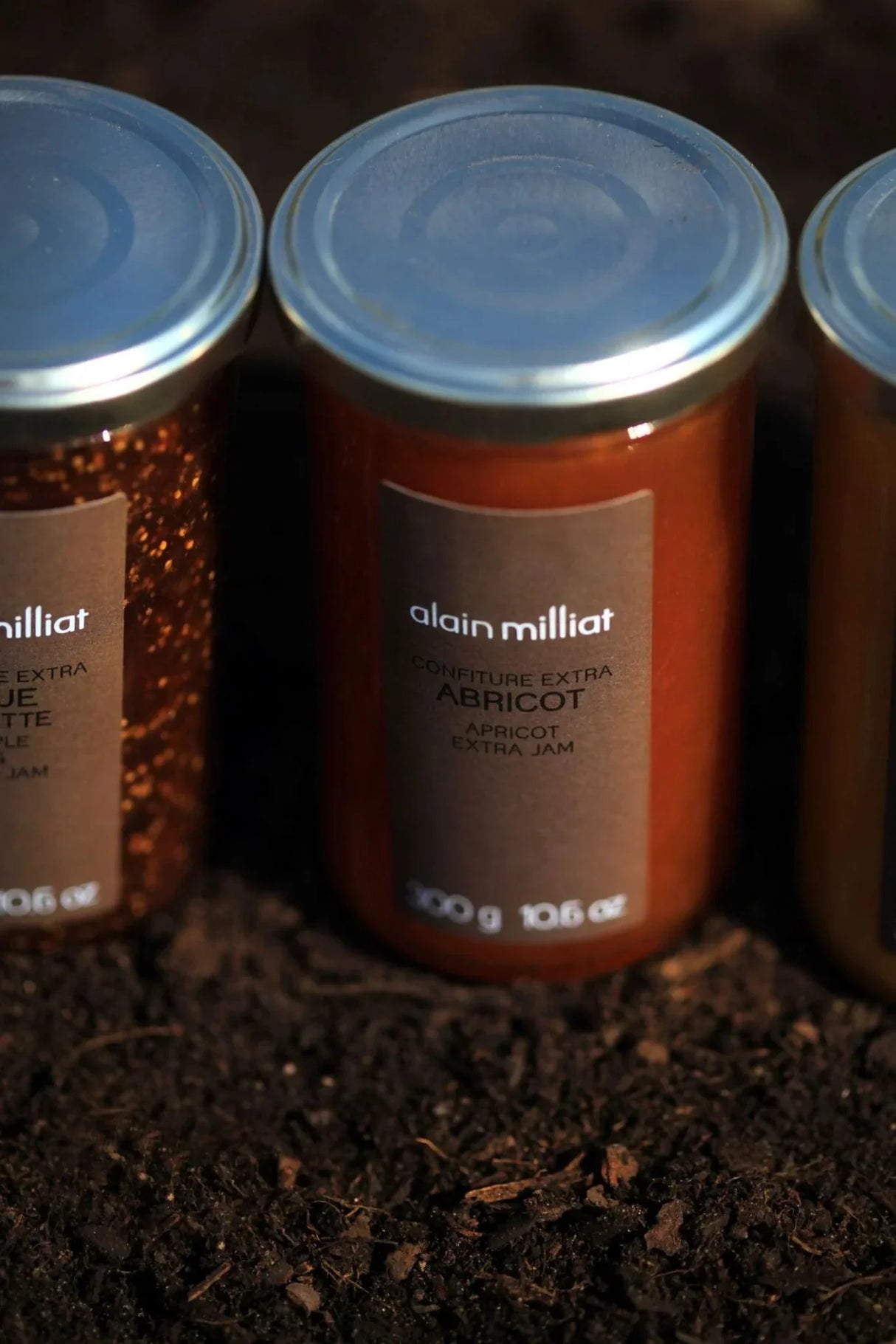 Apricot Bergeron Extra Jam by Alain Milliat, 10.6 oz (300g) | GMO-Free | Imported from France - The French Pantry