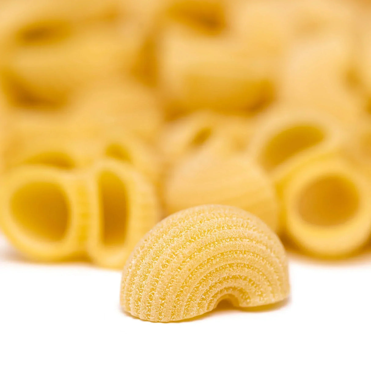 Artisanal pasta shells, premium quality, all-natural, high-protein, small-batch