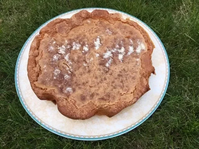 Golden-brown artisan cake dusted with powdered sugar on a plate, set on grass