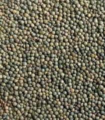 Green Lentils Du Puy P.D.O by Sabarot (17.6 oz) | Vegan | Imported from France - The French Pantry