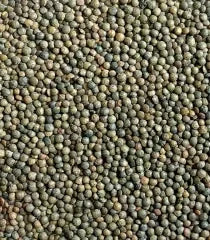 Premium French green peppercorns, all-natural, artisan-made, clean-label, high-protein spice