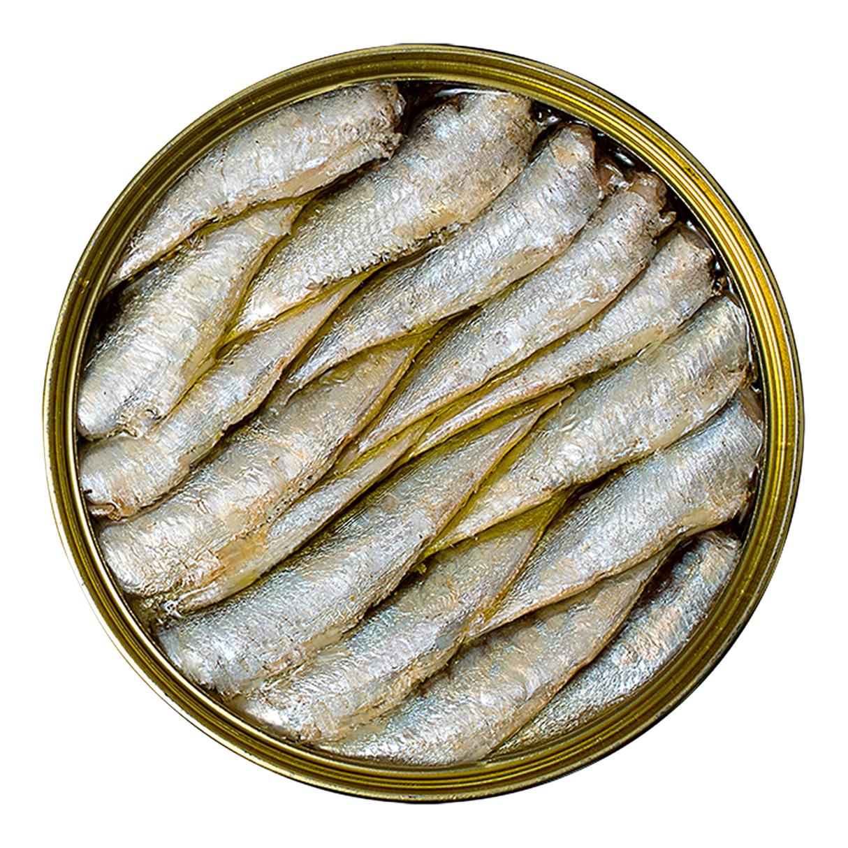 Premium canned sardines in olive oil, top view, artisan French pantry product