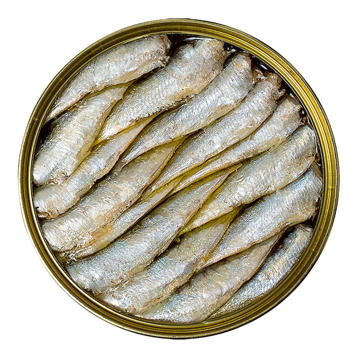 Open tin of La Brujula sardines in olive oil, Spanish conserva