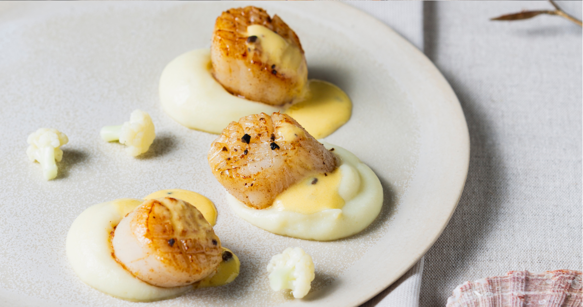 Seared scallops with cauliflower mousseline and a black truffle Bordier butter sauce