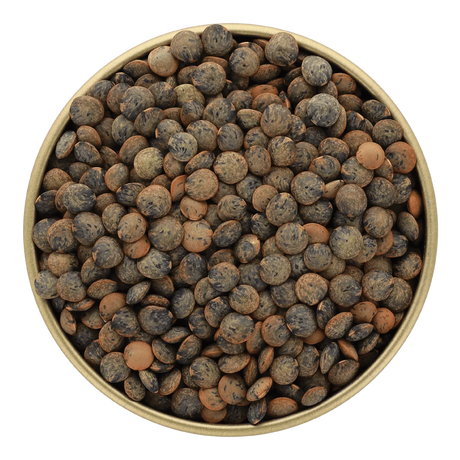 Premium French lentils in a gold bowl, all-natural, high-protein, clean-label, artisan-made