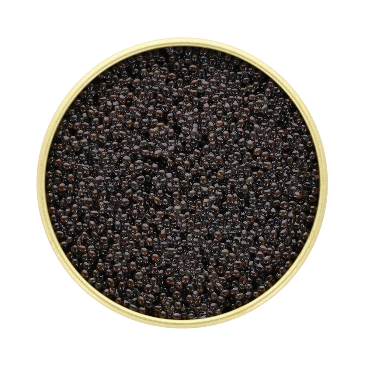 Top view of premium black caviar in a gold tin container.