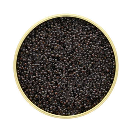 Top view of premium Bowfin Roe caviar in a gold-rimmed tin