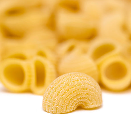 Artisanal pasta shells, premium quality, all-natural, gluten-free, high-protein, small-batch