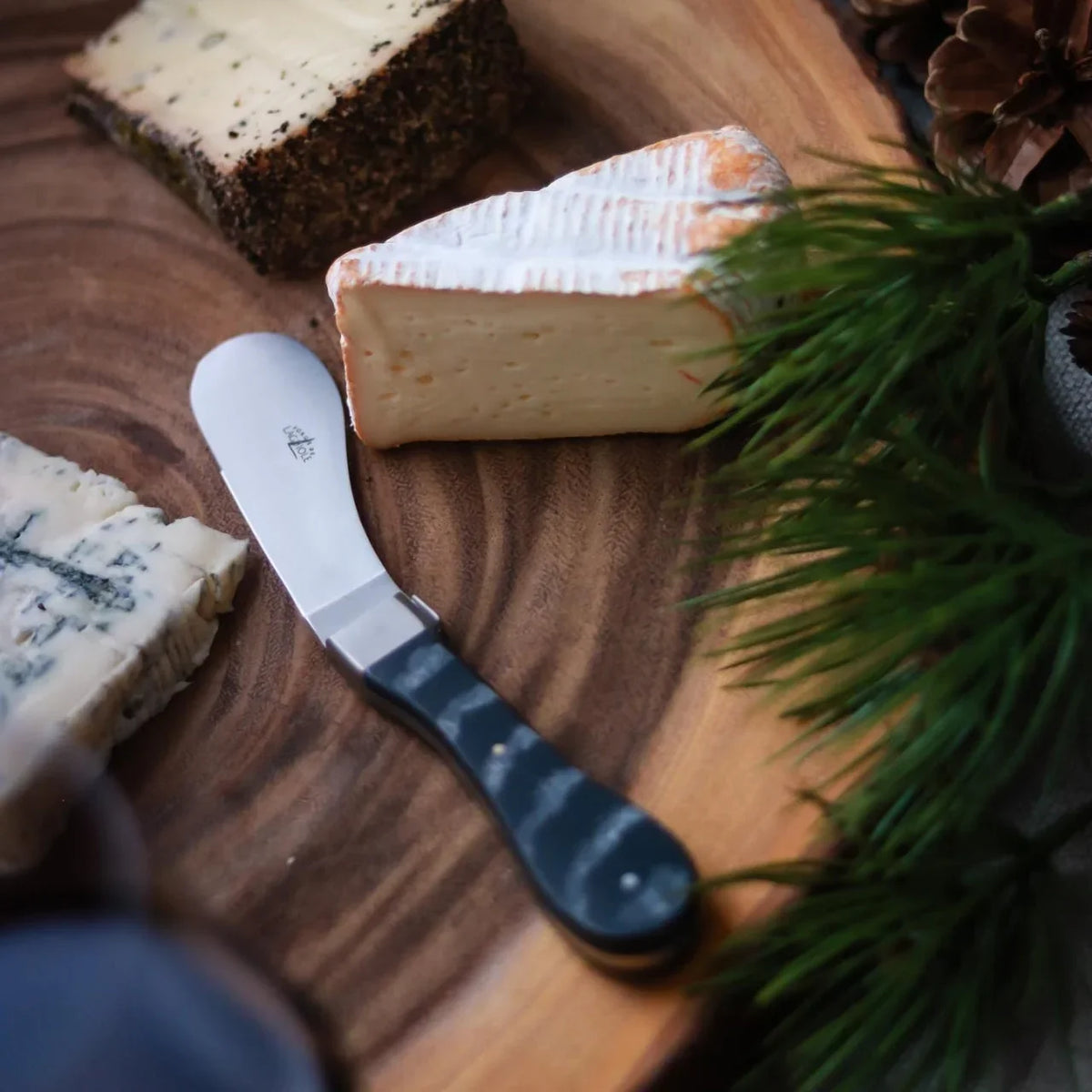 Assorted cheese wedges and a cheese spreader on a wooden board with pine branches.