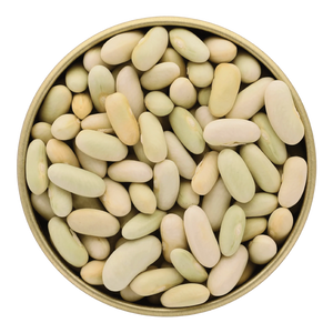 Green Flageolet Beans by Sabarot (17.6 oz) | Vegan | Imported from France
