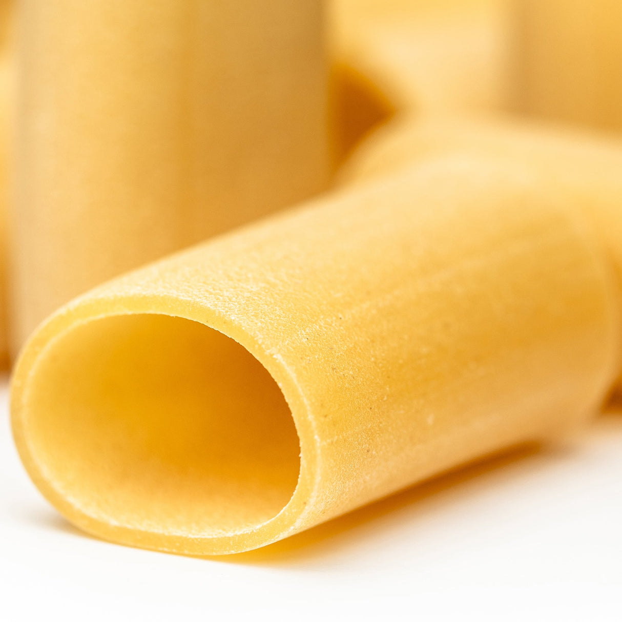 Mancini Paccheri pasta close-up, rough bronze-die texture, semolina and water only