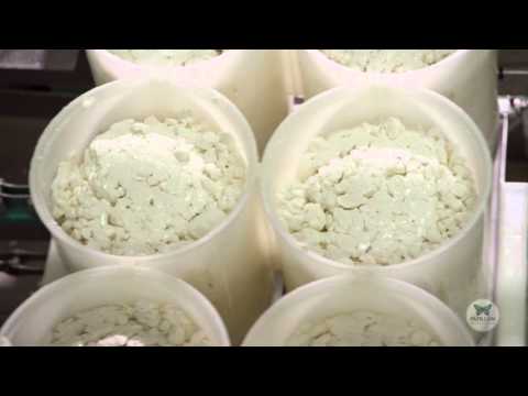 Roquefort Papillon Black Label | Sheep, Raw, Blue Cheese | Imported from France
