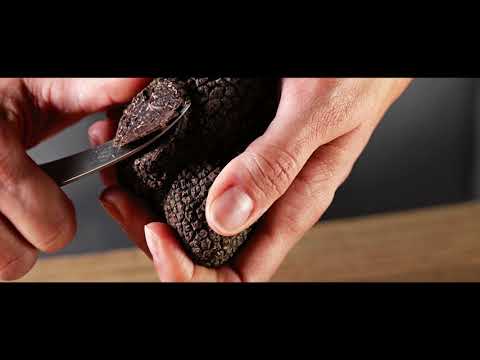 Acacia Honey with Summer Truffles (3.2 oz) by Plantin | Imported from France