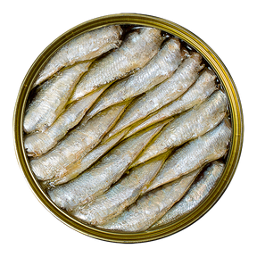 Premium canned sardines in olive oil, top view, artisan French pantry product